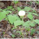 농장민박 이미지