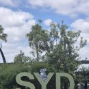 파이키앤컴퍼니(주) | 행복의 다음 단계는 시드니(1월 시드니 여행 01)