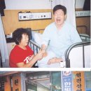 재단법인원진녹색병원 이미지