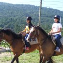 지산초등학교 이미지