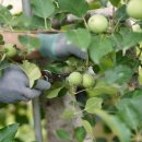 소농농장 이미지