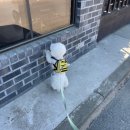 두부네 애견카페 이미지