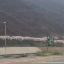 충주댐가든 이미지