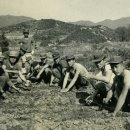 이근배농장 이미지