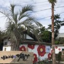 제주머물다 이미지