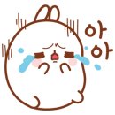 패션그루머 이미지