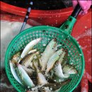 한내시장1 이미지