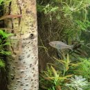 [2024 하반기 퇴근학습길] 커피산책(마실) | 화담숲, 화담채 가을단풍시즌🍁 모노레일 탑승 없이 화담숲 다녀오기! 국내가을여행, 가을명소 추천