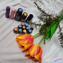 녹십초엘리피스테라피 | 공황장애 치유와 몸의 건강을 위한 아로마테라피, 도테라 아로마 오일 11종 사용 후기