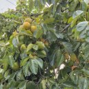 포항경북자동차전문학원 | 포항 소형견인 운전면허학원 추천 경북자동차학원 친절한 강사진