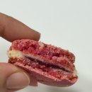 이집마카롱 | 피에르 에르메 파리 현대백화점 무역센터점 팝업 마카롱 후기 맛 추천
