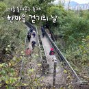 (하반기) 다이어트 댄스&체조 | 배봉산에서 열린 가을 동대문구 축제 &#39;2025 동대문구민 한마음 걷기의 날&#39; 참여 후기 🍂