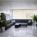 연세민트치과의원 이미지