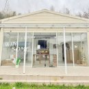 윈썸그루밍 | 광주 애견미용 잘하는 곳 찾는다면 윈썸그루밍 추천 🐶✂️