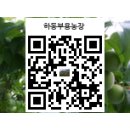 하동부용농장