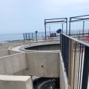 D마트 베이커리 이미지