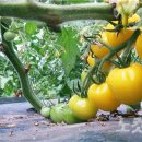 연우농장 이미지