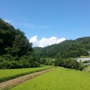 새로나경로당 이미지