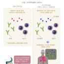 시흥간병인 이미지