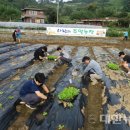 용지농장 이미지