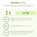 이수한약유통 | 달서구한약 다이어트 유명한곳 한의원, 이미 실패해본 분들만 읽어주셨으면 합니다