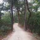 산책가는길 네이버블로그