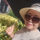 큰꿈경로당 Daum카페