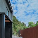 남이섬설1 이미지