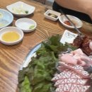 경남회집 - 중구 북성동1가 | 인천 신포동 민어회, 여름 보양식은 진심이다?? 민어 헌터의 솔직 후기! (경남횟집 vs 화선횟집 비교)