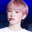 사쿠