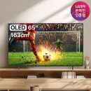 OLED65B5ENA 올레드 TV 65인치 120Hz 스펙·후기 모음 34% 할인 중