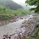 봉강 하조 오토캠핑장 이미지