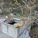 신수도 대구동 이미지