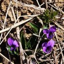 풍도복지회관 이미지