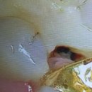 용현서울치과의원 이미지