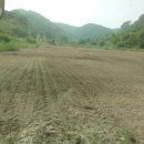 마이산축산 이미지