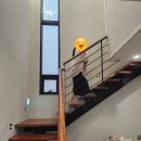 예당관광농원 디에이치(풀빌라) 이미지