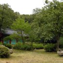 정일당강씨묘 이미지