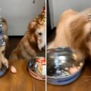 멍케이크 이미지