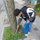 가락지구대 이미지