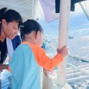 한바다참치 이미지