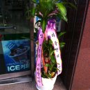 세븐일레븐 두암제일점 이미지