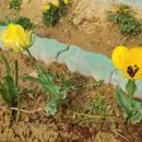 국원농장 이미지