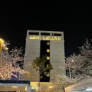 진해탑약국 이미지