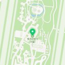 새마을식당 과천렛츠런파크점 이미지
