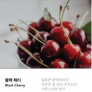 블랙스프레이 | [선물] 간호사 퇴사 선물 추천, 실용적이고 향도 좋은 떼르디 룸앤멀티스프레이 답례품 후기