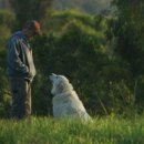경이농장 이미지