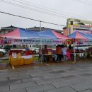 화순불미나리 네이버블로그