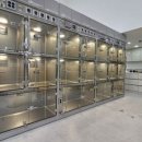 제주24시숨동물의료센터 이미지