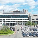 팀21 이미지